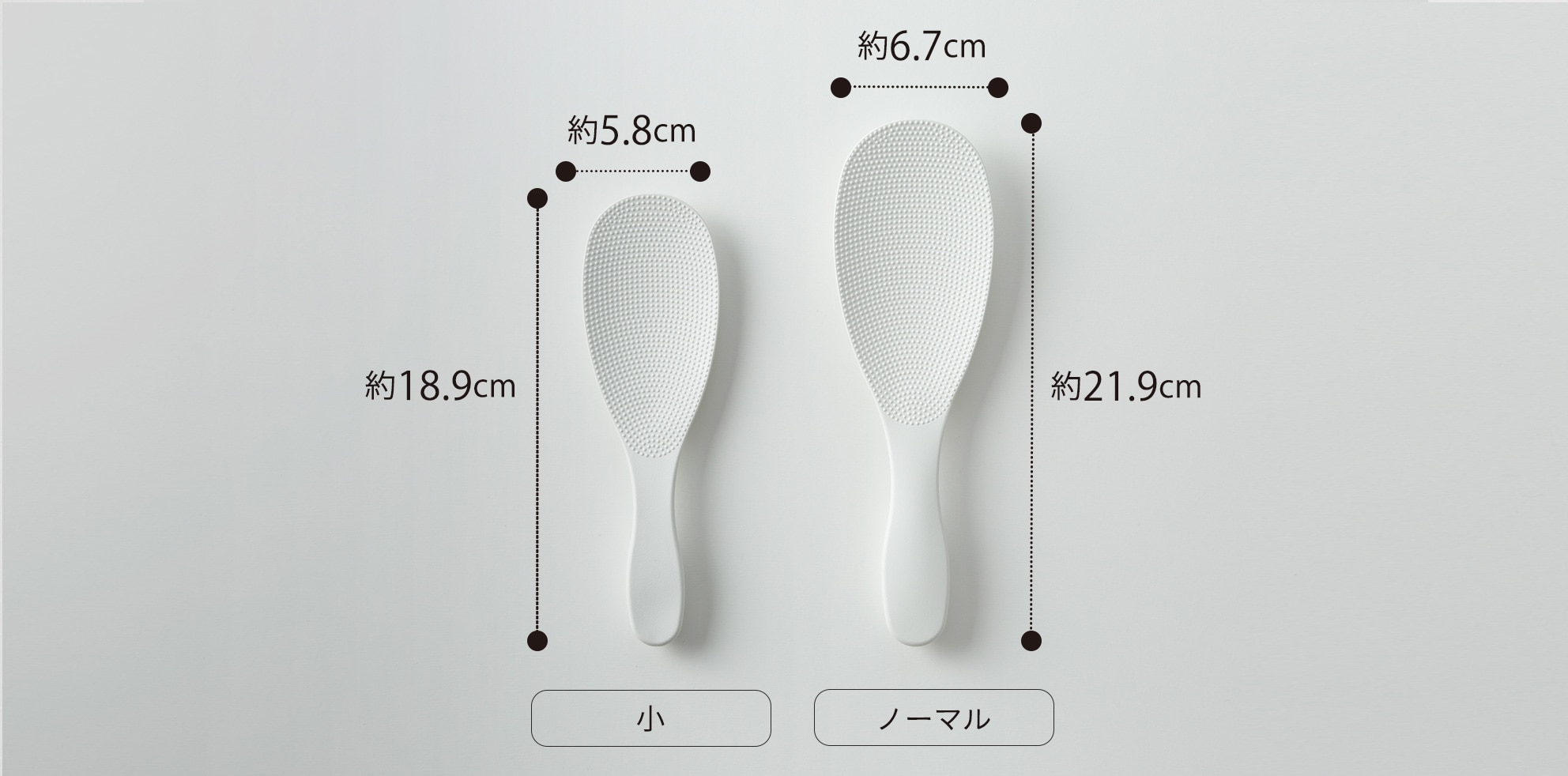 極しゃもじ