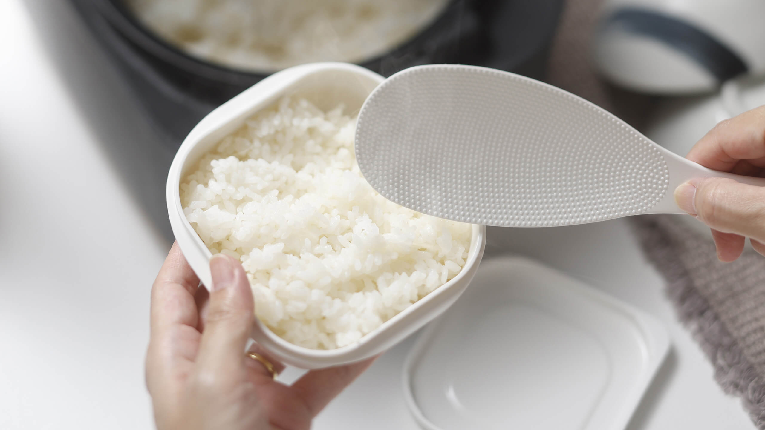 極 冷凍ごはん容器