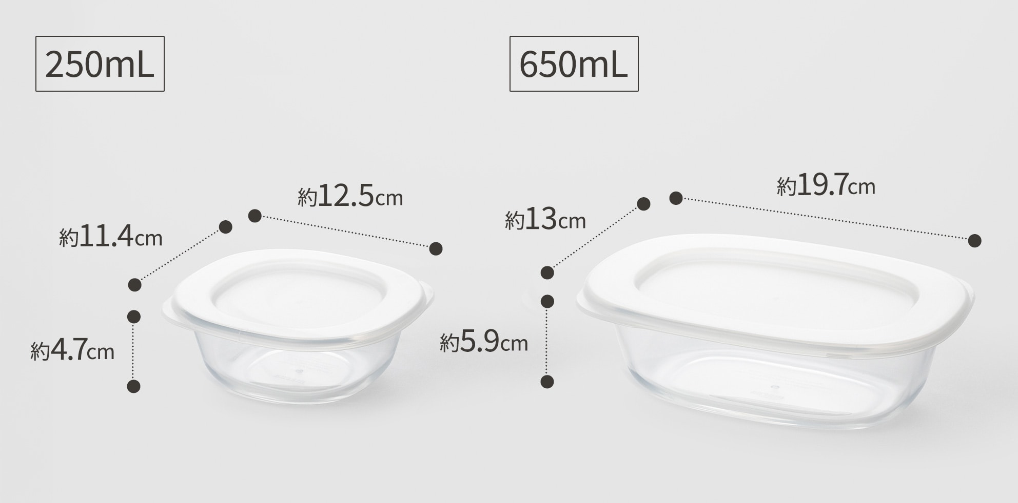 うつわにもなる保存容器 250mL