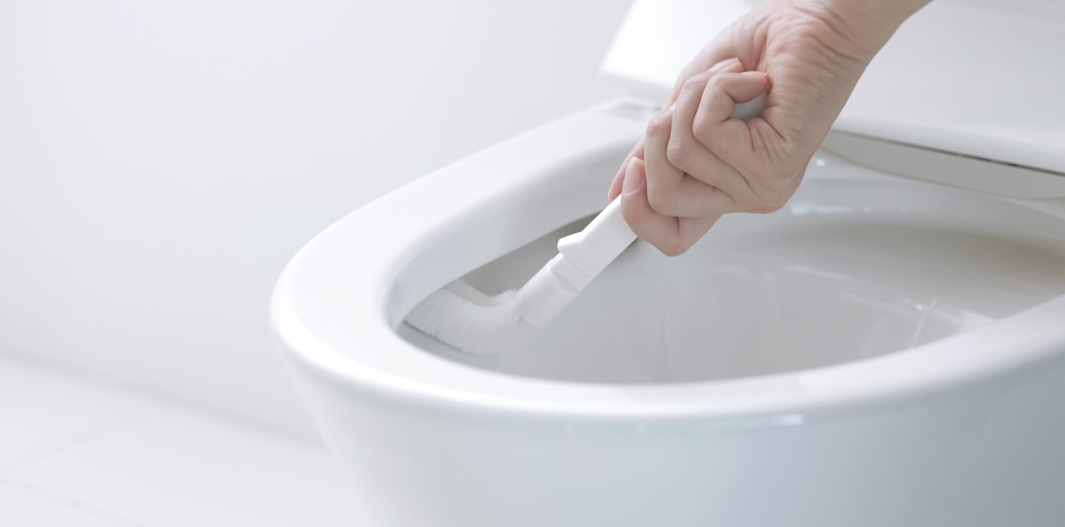 2in1トイレブラシ
