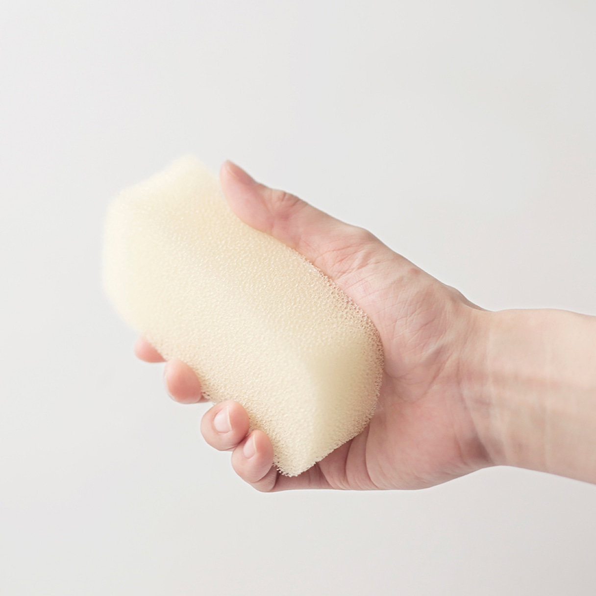 水切れがいいキッチンスポンジ単層タイプ ホワイト