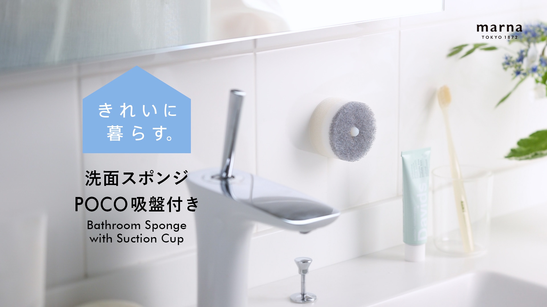洗面スポンジ POCO吸盤付き